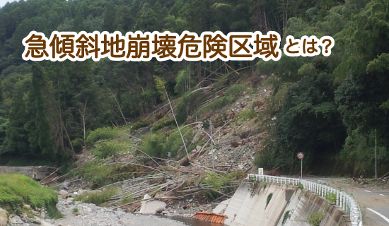 急傾斜地崩壊危険区域とは エコシステム株式会社 土地と住まいの相談窓口